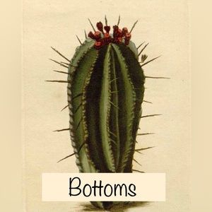 Pants, Jeans, Skirts